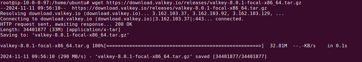 Valkey tutorial terminal screenshot