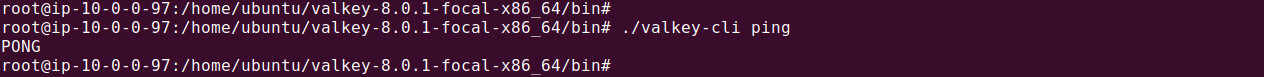 Valkey tutorial terminal screenshot