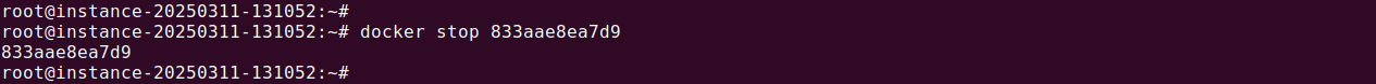 Docker Opensearch tutorial terminal screenshot